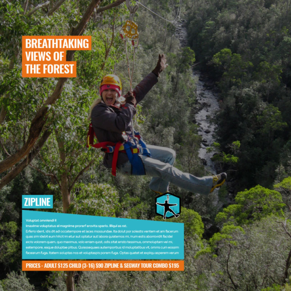 Website Design Tasmania Hollybank Wilderness Adventures